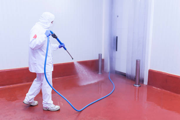 Best Solar Panel Cleaning  in Indialantic, FL